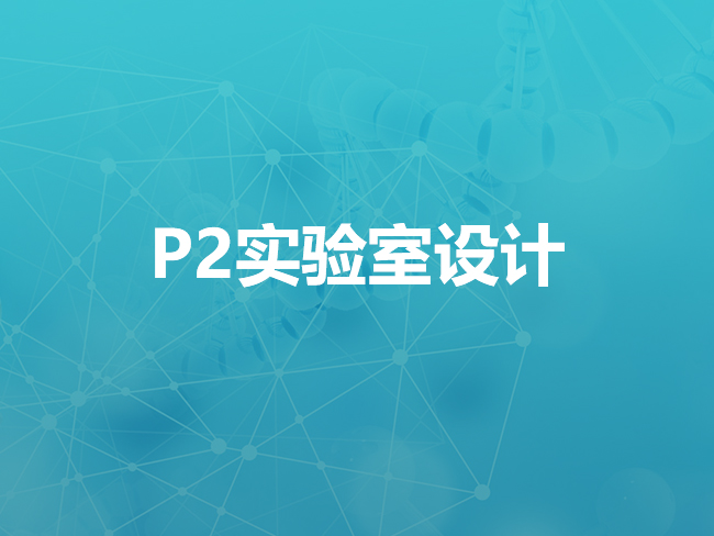 P2實(shí)驗(yàn)室設(shè)計(jì)