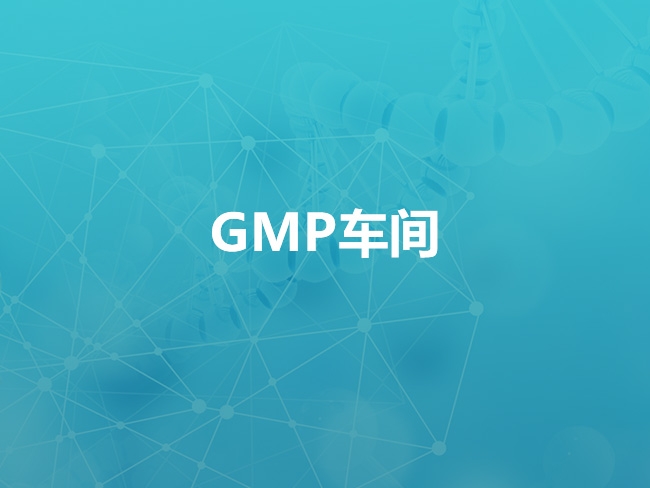 GMP車(chē)間